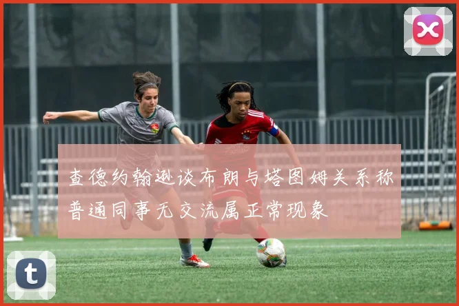 查德约翰逊谈布朗与塔图姆关系称普通同事无交流属正常现象